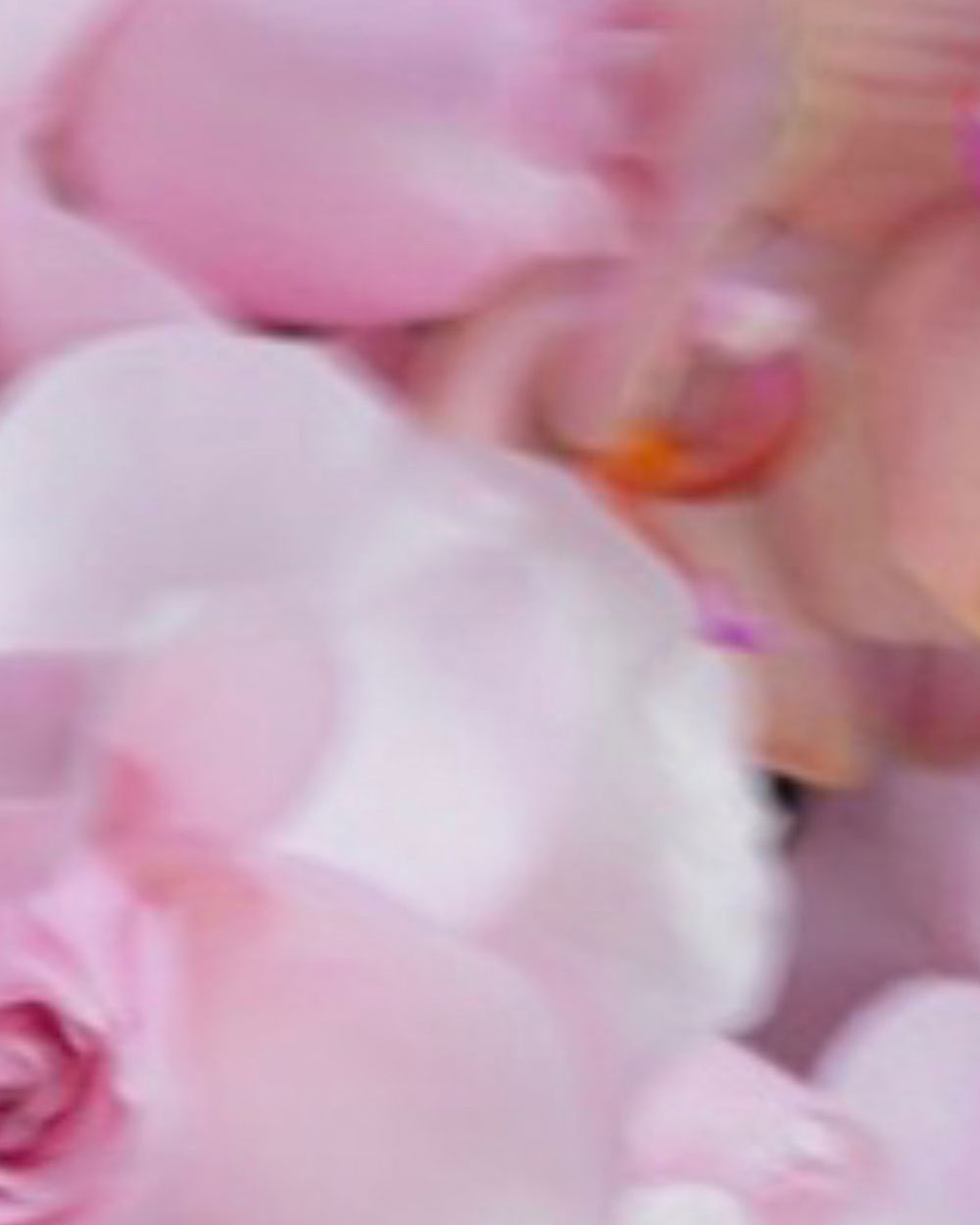 onboard-video-flower-calls