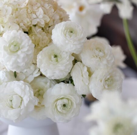 Seasonal Flower Guide