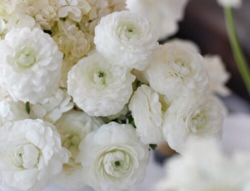 Free Guide – Seasonal Flowers