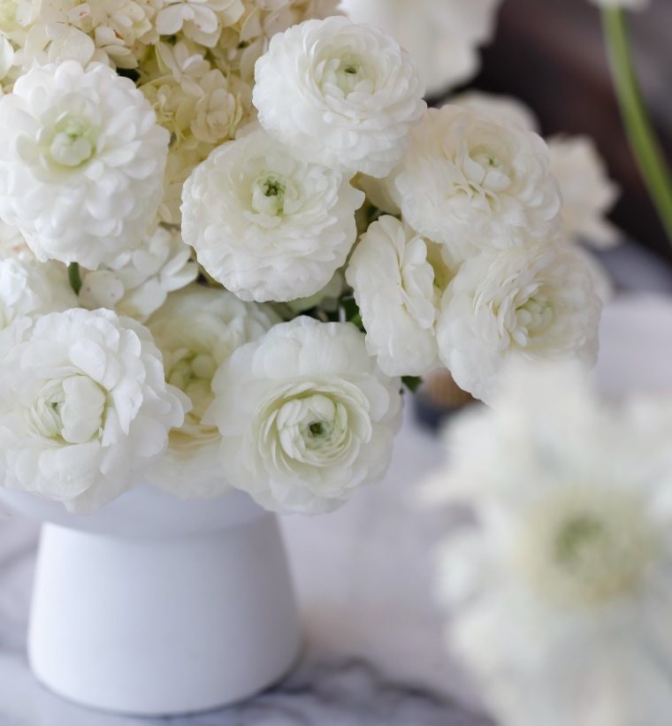 Seasonal Flower Guide